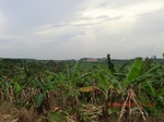 2012-09-26_20-49-52_CIMG1104.JPG