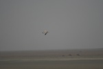 4169IMG_8807.JPG