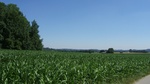 2016-07-25_03-45-01_DSCF1508.JPG