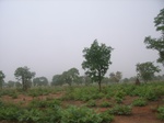 3941RIMG0245.JPG