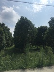 2017-09-12_13-50-49_2C24001C-9BC3-492A-BB4F-97ED7C3B4CC2.jpg