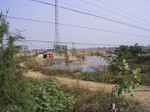 2780 003.jpg
