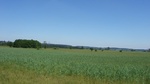 2016-07-25_03-26-56_DSCF1521.JPG