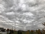2017-10-28_09-22-02_8615AF66-967D-412D-B960-C6C8A3029840.jpg