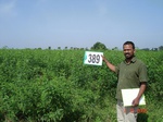 76850389a-rainfed-agriculture-grams.jpg