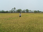 537502052008(38).JPG