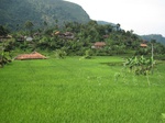 13746IMG_4007.JPG