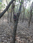 2012-09-24_10-40-23_DSC03063.JPG