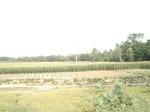18171DSC08486.JPG