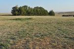 2012-09-02_21-39-49_DSC_1616.JPG