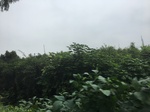 2017-09-10_20-46-02_D7263B8D-5254-4E85-9A24-6C626EC807FE.jpg