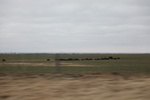 2018-04-30_12-29-07_2017-12-28 12.38.10.jpg