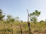 5838100_1502.JPG