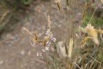 2018-07-06_17-07-29_2018-06-12 17.24.57.jpg
