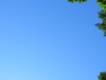 2017-07-03_18-42-57_40.798697N 124.038097W Up.JPG