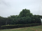 2017-09-10_08-38-47_9DCA60F6-A749-4FBA-9569-6C752C805511.jpg