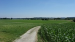 2016-07-25_03-45-01_DSCF1527.JPG