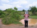822010-mixed-others-rice-waterb.jpg