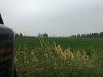 2017-09-10_07-08-48_1F0D078A-7061-429A-9E7B-BD43D0A10E31.jpg