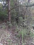 2020-10-06_18-49-41_20201006_180505.jpg
