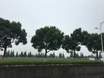 2017-09-10_08-38-25_CD25F5E0-5F46-4B91-ACD6-15D207892D44.jpg