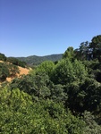 2017-05-27_17-05-59_38628A6F-C428-4BA8-8257-DB759CE08A88.jpg