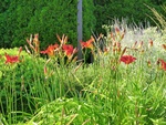 57034CIMG2233.JPG