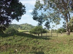 5814100_1463.JPG