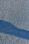 2021-12-02_08-14-27_2021-12-2-8-12-12.jpg
