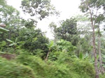 16353IMG_5137.JPG