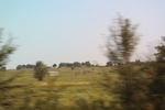 2018-04-30_10-43-23_2017-09-14 15.40.38.jpg