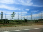 56901CIMG1992.JPG