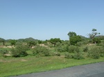 19286P1010132.JPG
