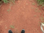 2012-09-07_10-14-19_CIMG6682.JPG
