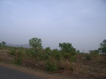 3838RIMG0142.JPG