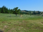 2017-05-28_13-44-35_2017-05-28_Erratic_RockN.JPG