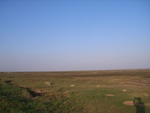 441220071010gps 084.jpg