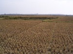 3188R0017222.JPG