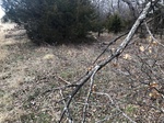 2020-10-30_10-44-36_Lake Arcadia Feb 15_2020_Wood_North.jpg