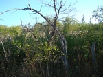 2012-09-15_11-19-18_TX-EL-13-Maypearl-3.JPG