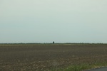 2022-05-26_13-54-48_96BD2449-9537-468E-8F84-C9570721B1F6.jpeg