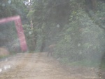 1707111052008(78).JPG