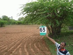 6325065c-rainfed-highly-fragmented-agriculture-with-intermix-of-scrubland-and-wasteland.jpg