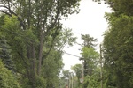 2022-06-11_17-39-08_B176563F-1AF4-497F-BD80-17291DB3F8C6.jpeg