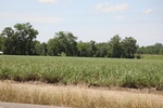 2022-05-26_14-22-14_C208925C-B7AE-407F-BDCA-BBB1FADC514F.jpeg