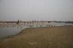 4509IMG_8672.JPG