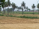 521326042008(8).JPG