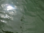 58357CIMG2806.JPG
