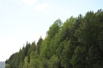2018-04-14_14-18-36_2017-06-11 08.04.52.jpg