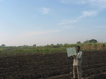 7837gt056b-irrigated-major-mixed-crops-sugarcane-dominant.jpg